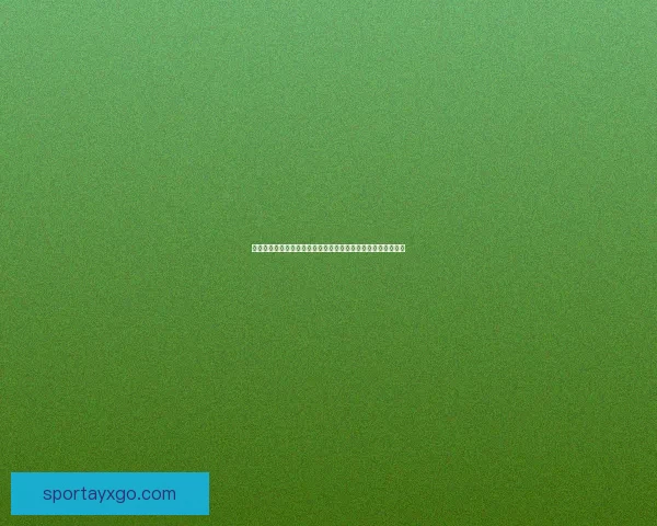 九州体育入口全面解析，畅享顶级体育赛事直播与精彩投注体验